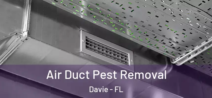  Air Duct Pest Removal Davie - FL