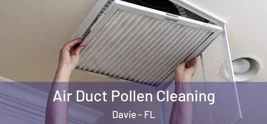  Air Duct Pollen Cleaning Davie - FL