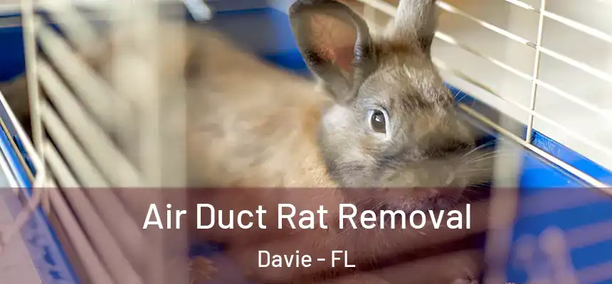  Air Duct Rat Removal Davie - FL