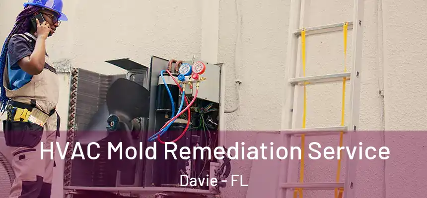  HVAC Mold Remediation Service Davie - FL