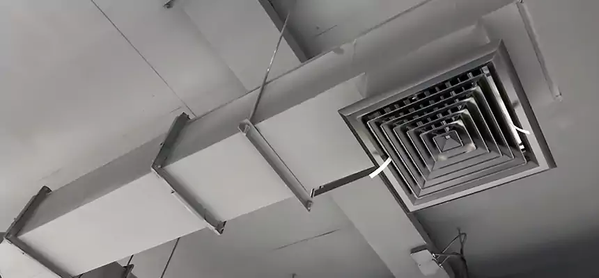 Our Rodent Droppings In Vents Services in Davie, FL