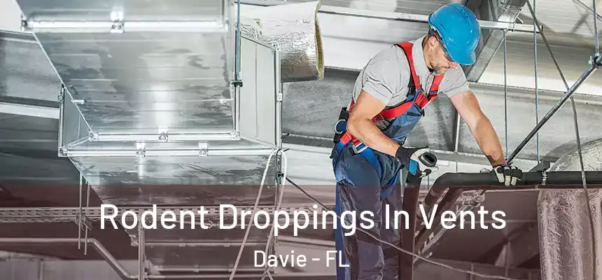  Rodent Droppings In Vents Davie - FL
