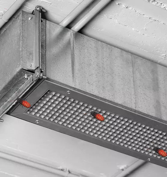 About Air Duct Cockroach Removal in Davie, FL