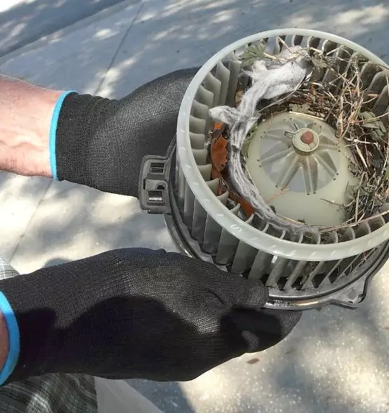 About Air Duct Mice Removal in Davie, FL