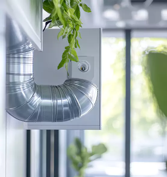 Professional Eco-Safe Dryer Vent Cleaning in Davie, FL