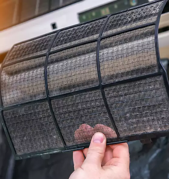 About Pet Dander Duct Cleaning in Davie, FL